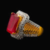 Naqsh | R2845